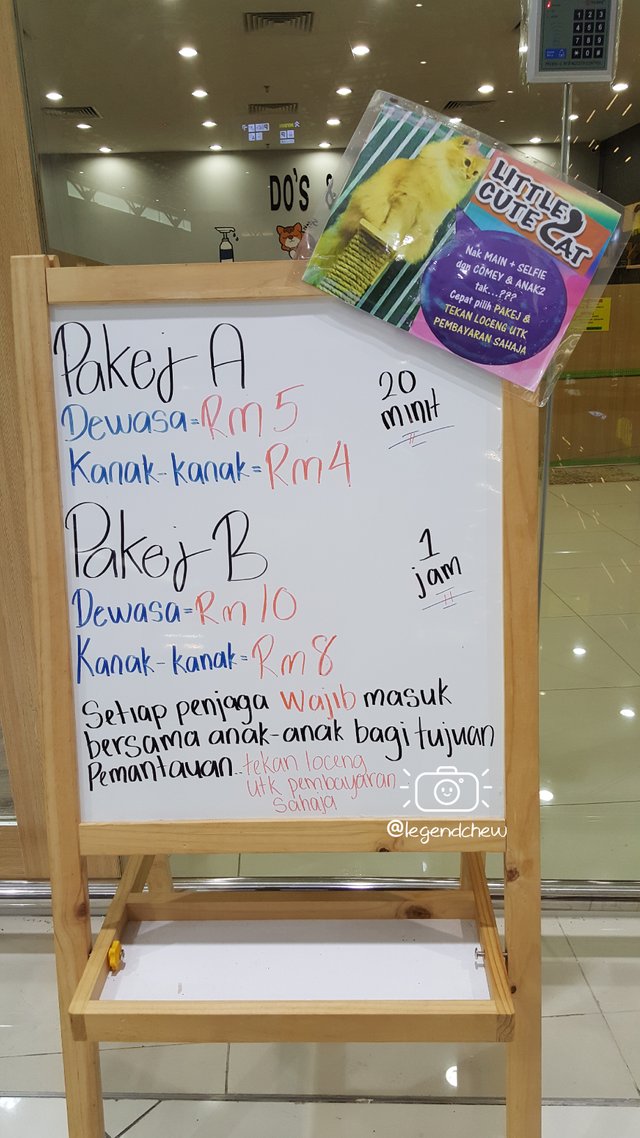 Little cute cat hot sale mydin